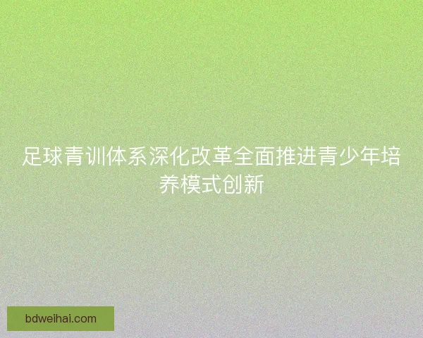足球青训体系深化改革全面推进青少年培养模式创新
