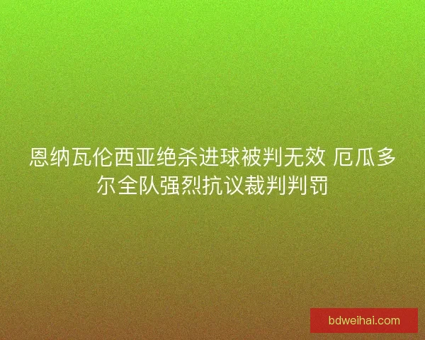 恩纳瓦伦西亚绝杀进球被判无效 厄瓜多尔全队强烈抗议裁判判罚 恩纳瓦伦西亚绝杀进球被判无效 厄瓜多尔全队强烈抗议裁判判罚